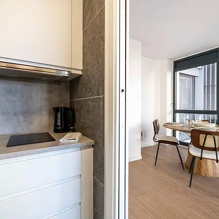 Amazing Duplex With Terrace In Monaco-beausoleil Appartement Beausoleil
